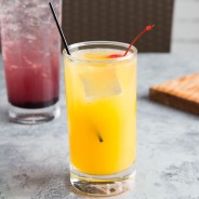 High Ball Glass 310ml | Elara Trading Hospitality Bar Glass